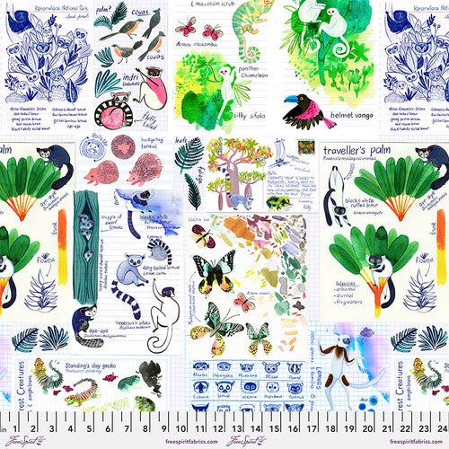 Madagascar Adventure