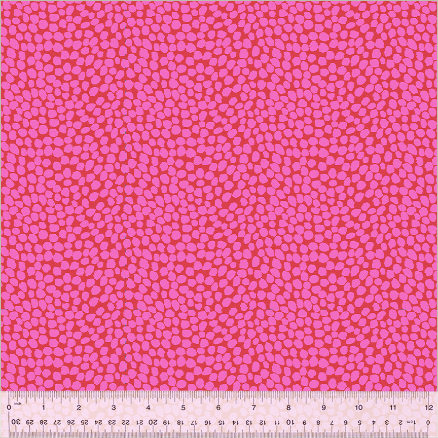 West Palm Beach - Jennifer Paganelli