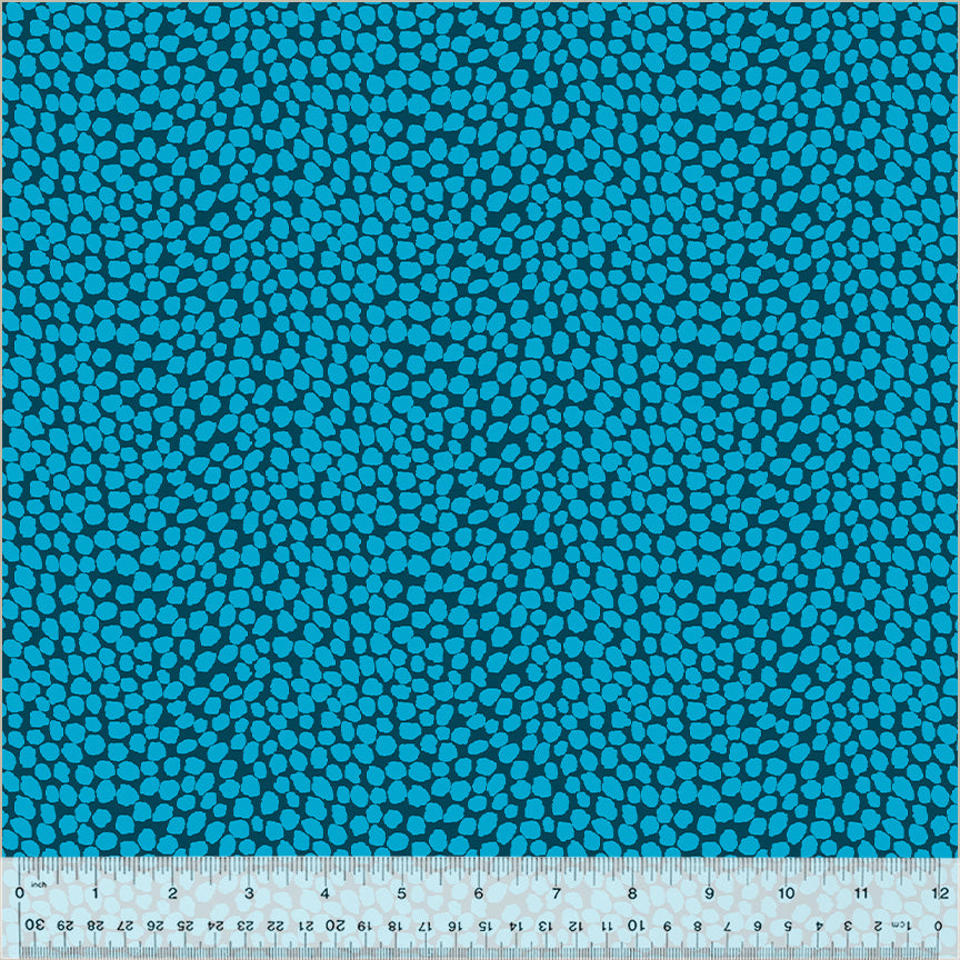 West Palm Beach - Jennifer Paganelli