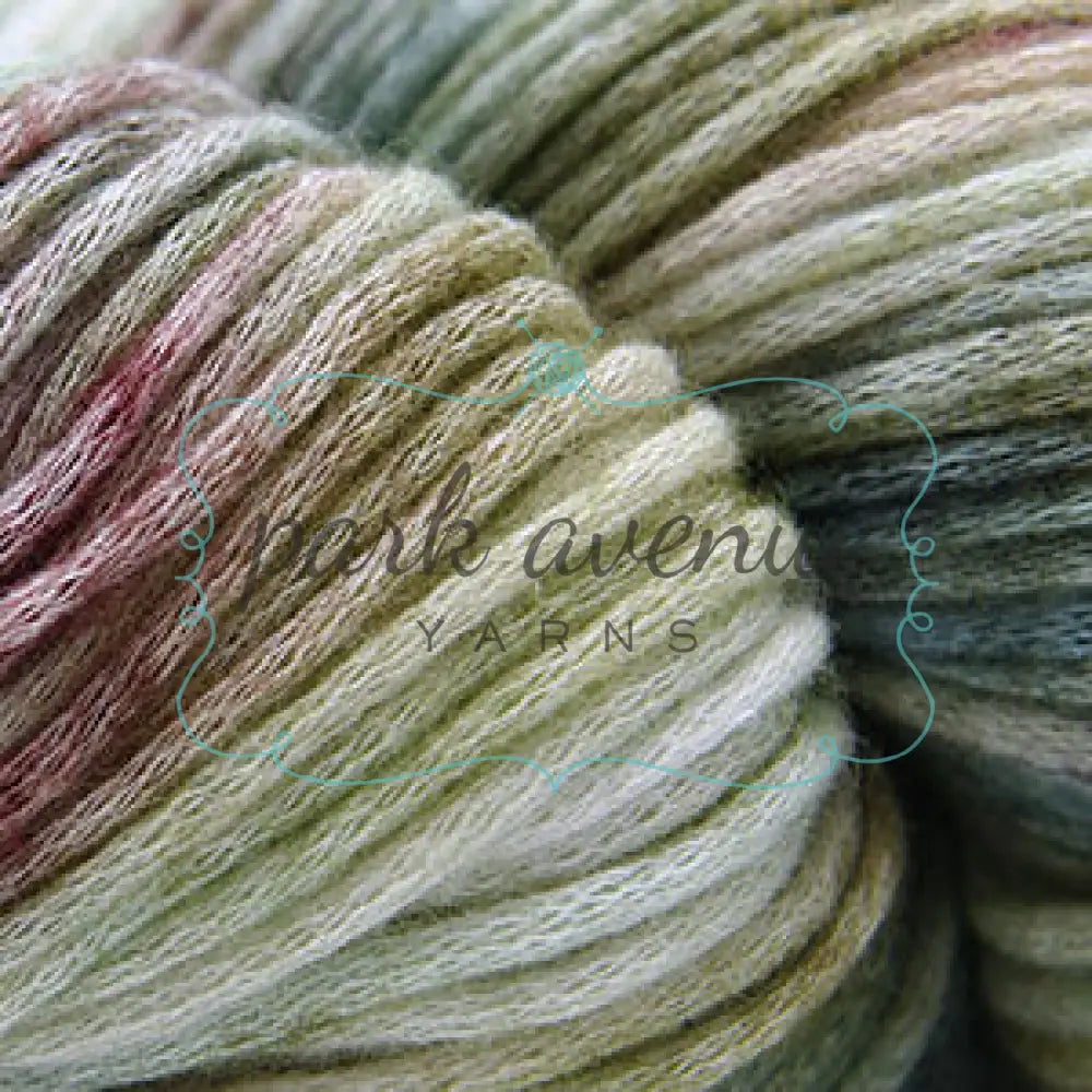 Cantata Hand Paints 202 Mountain Meadow Yarn: Worsted