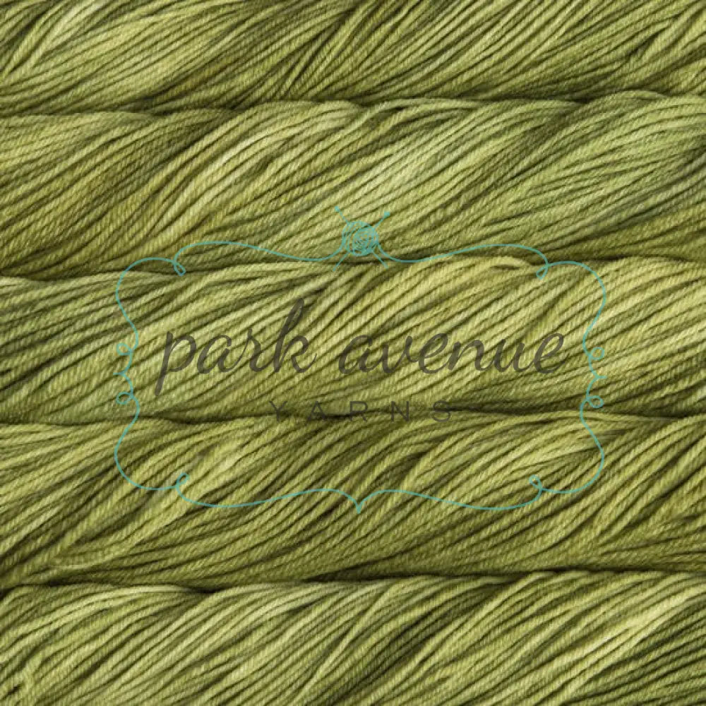 Rios Lettuce Yarn: Worsted