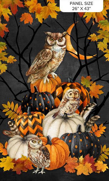 Night Owl