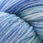 Cantata Hand Paints 205 Arctic Yarn: Worsted