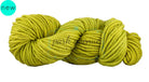Cardo Spirulina Yarn: Chunky